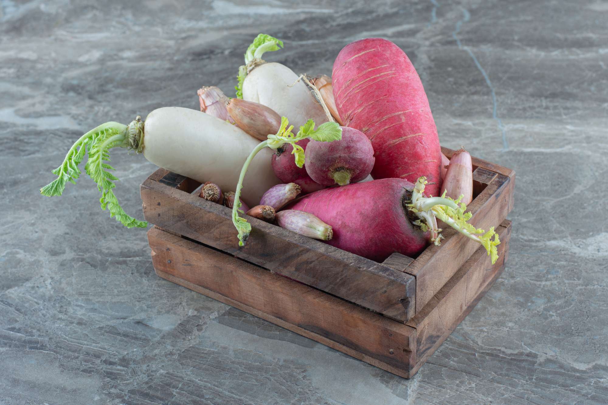 red and white radishes _ Crocus Media.jpg